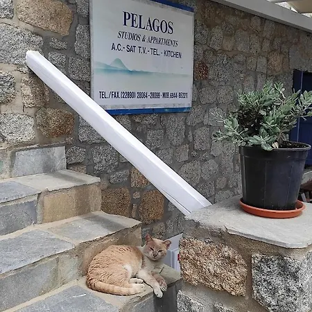 佩拉格斯一室公寓酒店 普拉迪斯亚罗斯