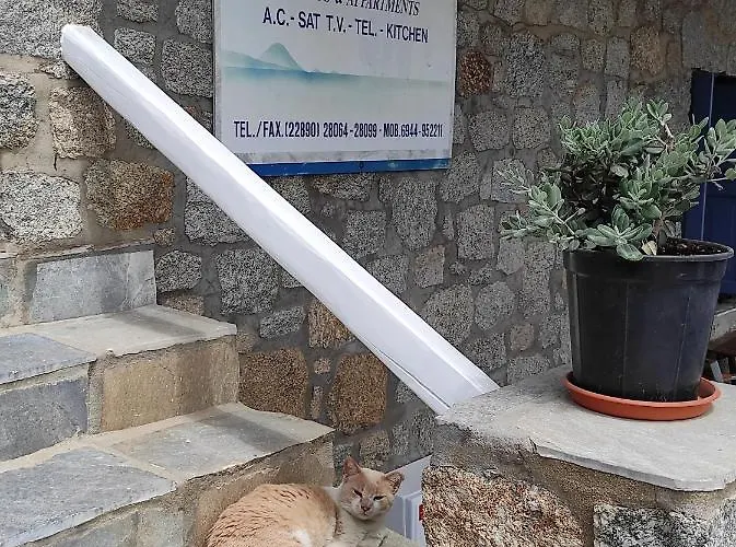 Pelagos Studios Platys Gialos (Mykonos)